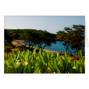 Insel Lanai in Hawaii