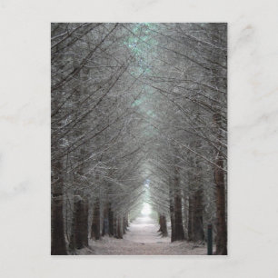 Insel Mull Forest Postkarte