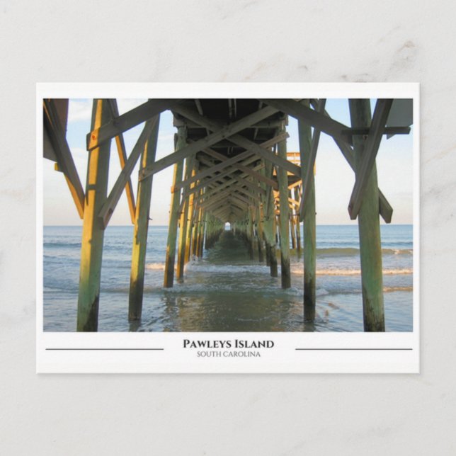 Insel Pawleys - South Carolina Postkarte (Vorderseite)