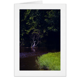 Insel Percival, Lynchburg Virginia