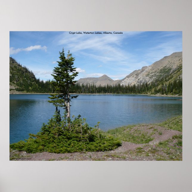 Insel Poster (Vorne)
