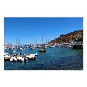 Insel Santa Catalina Fotodruck