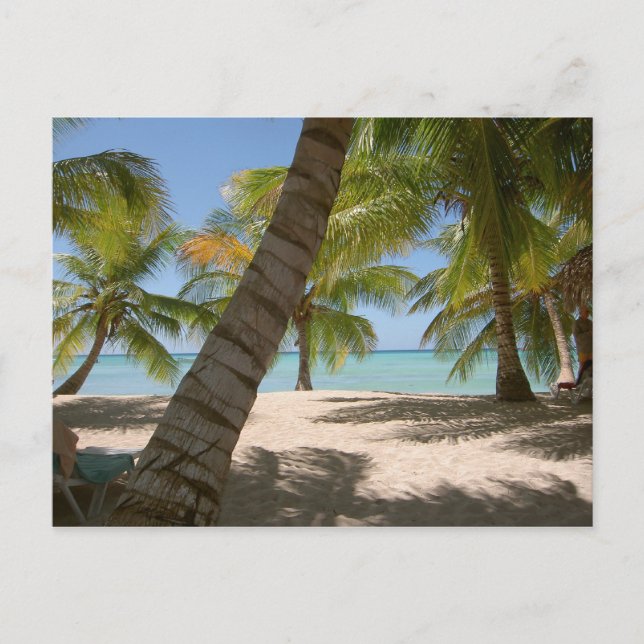 Insel Saona Dominikanische Republik Postkarte (Vorderseite)