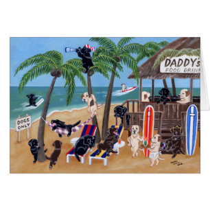 Insel-Sommer-Ferien Labradors