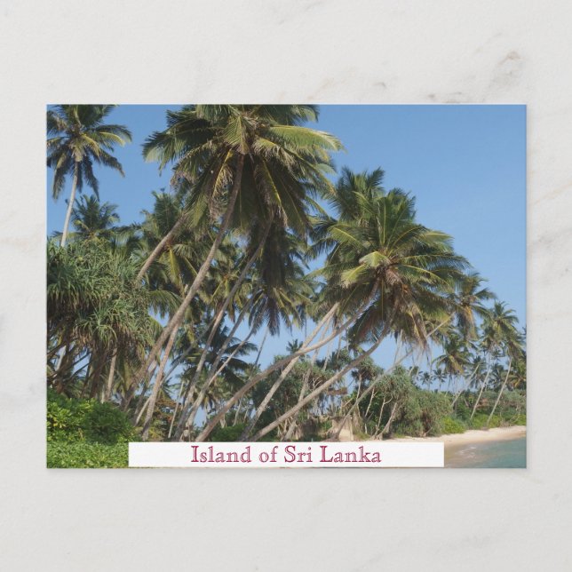 Insel Sri Lanka Vintage Tourismus Add Postkarte (Vorderseite)
