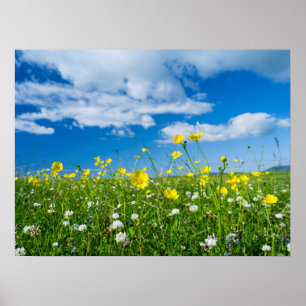 Insel Süduist   Schottland Poster