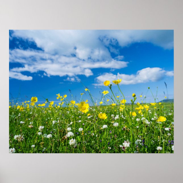 Insel Süduist | Schottland Poster (Vorne)