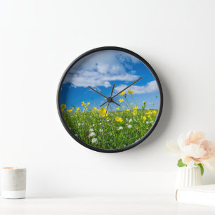 Insel Süduist   Schottland Uhr