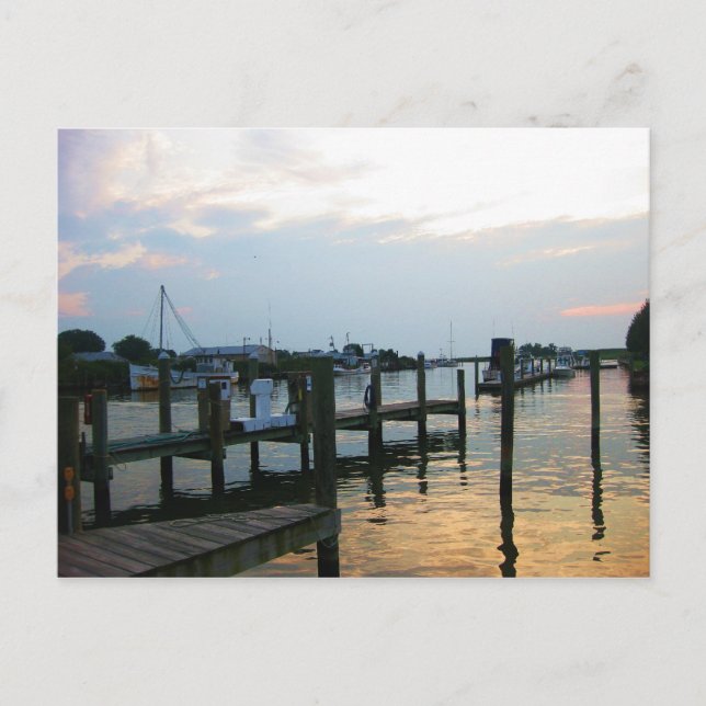 Insel Tilghman, MD Postkarte (Vorderseite)