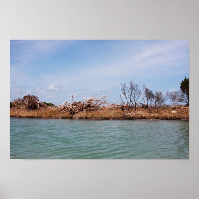 Insel Vegetation 1 Poster (Vorne)