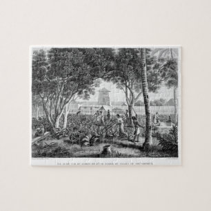 Insel von Guam: Eingeborene bei der Arbeit im Puzzle