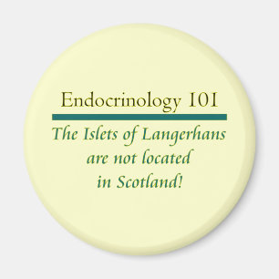 Inseln von Langerhans Magnet