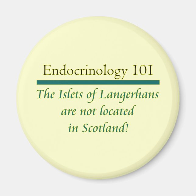 Inseln von Langerhans Magnet (Vorne)