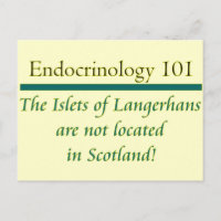 Inseln von Langerhans