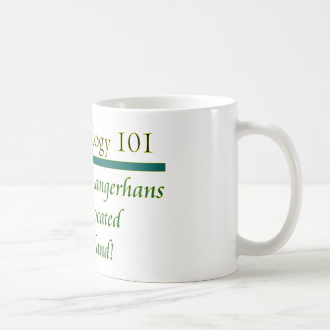 Inseln von Langerhans Tasse (Rechts)
