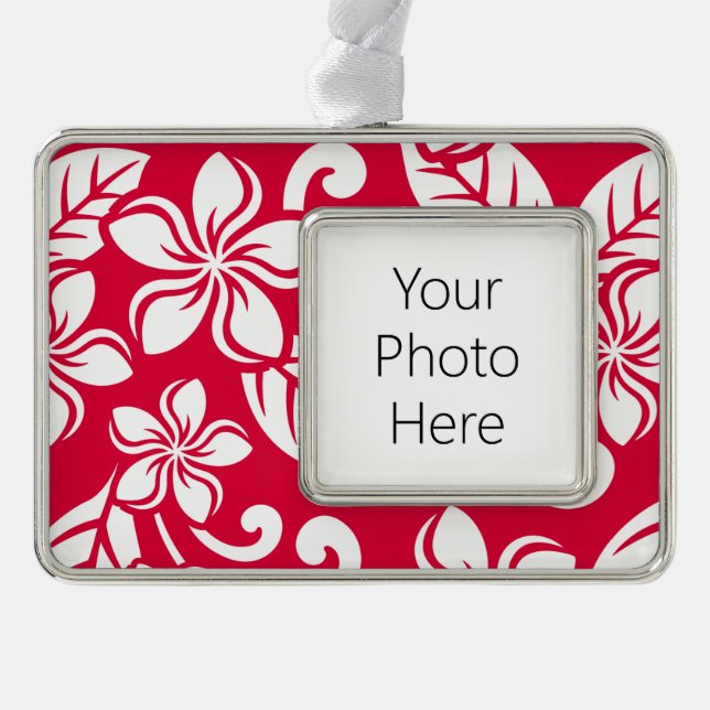 INSELPLUMERIE (ROT IN STRAWBERRY) Rahmen-Ornament SILBER (Vorderseite)