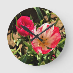 Inside a Pink & White Tulip Runde Wanduhr