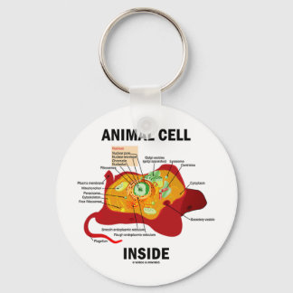 Inside (Eukaryote Zellbiologie) Schlüsselanhänger