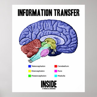 Inside (Gehirnanatomie) Poster
