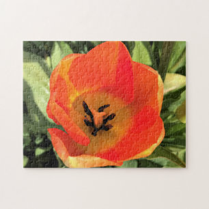 Inside Orange Tulip Puzzle
