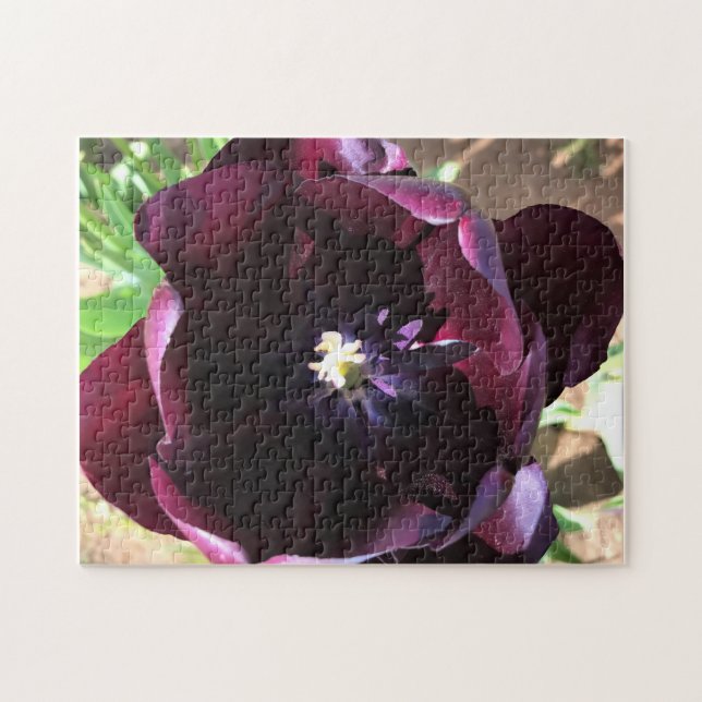 Inside Queen of the Night Tulip Puzzle (Horizontal)