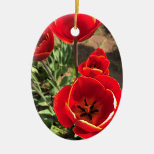 Inside Red Tulips Keramik Ornament