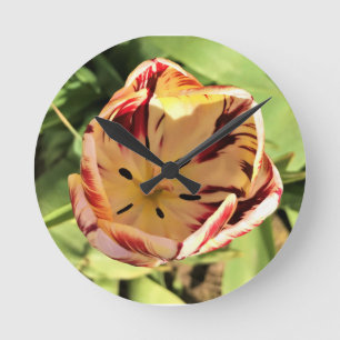 Inside Red & White Tulip Runde Wanduhr