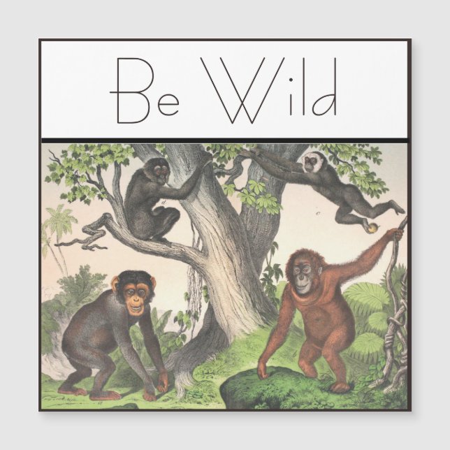 Inspiration Affen Schimpanse Vintag Magnetkarte (Vorderseite)