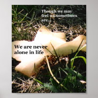 Inspiration durch die Natur