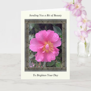 Inspiration Get Well Card mit rosa Kamelie Karte
