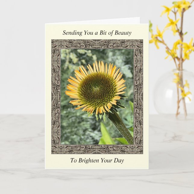 Inspiration Get Well Card mit Young Sunflower Karte (Gelbe Blume)