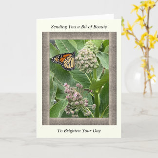 Inspiration Get Well-Well-Card mit Monarch Butterf Karte