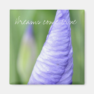Inspiration Iris Magnet