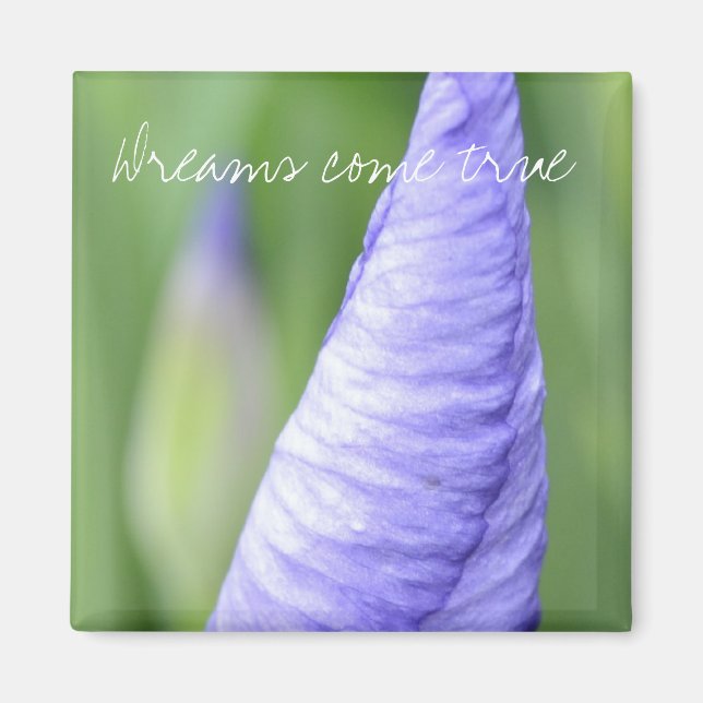 Inspiration Iris Magnet (Vorne)
