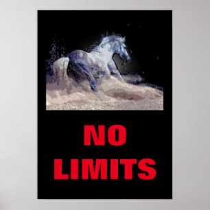 Inspiration No Limits Pferd Motivierend Poster