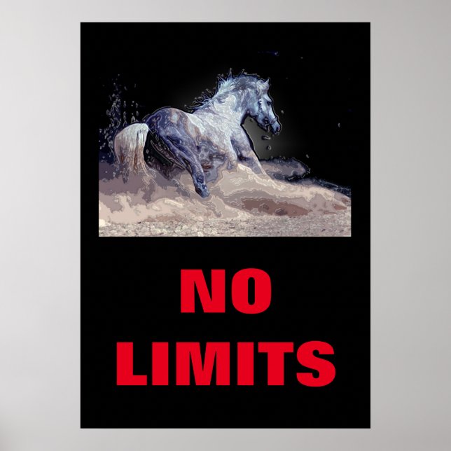 Inspiration No Limits Pferd Motivierend Poster (Vorne)