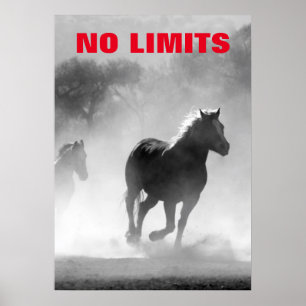 Inspiration No Limits Pferde Motivierend Poster