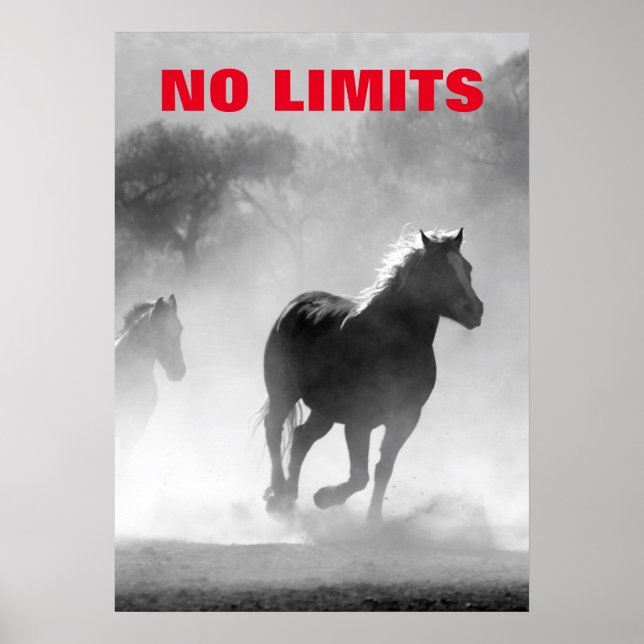 Inspiration No Limits Pferde Motivierend Poster (Vorne)