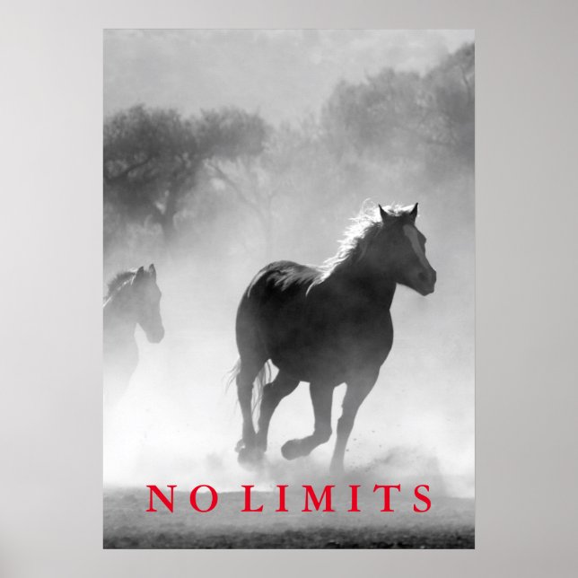 Inspiration No Limits Schwarz-weiß Pferde Artwork Poster (Vorne)