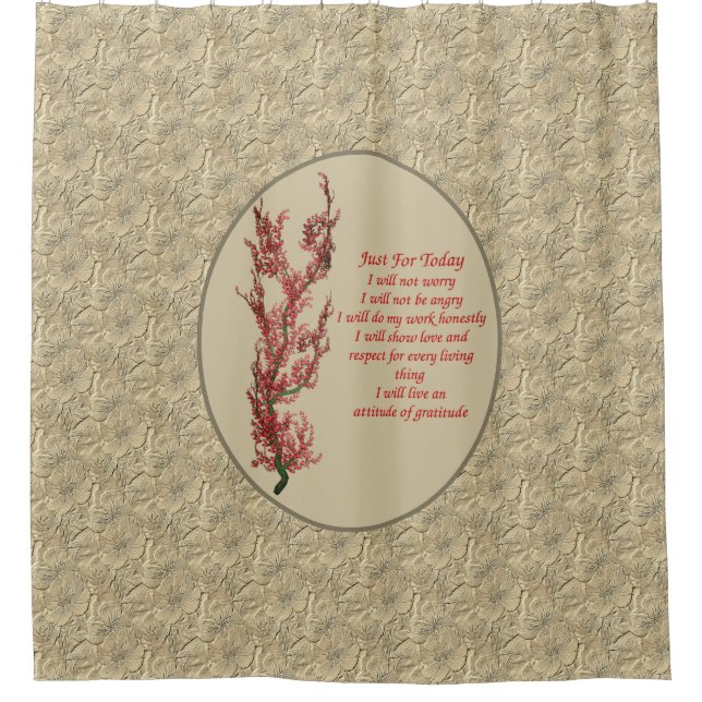 Inspiration nur für heute duschvorhang (Vorderseite)