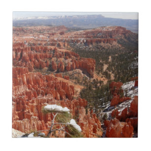 Inspiration Point im Bryce Canyon I Fliese