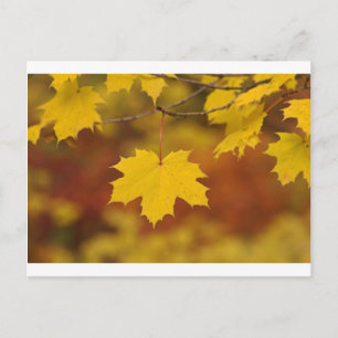 Inspiration Postkarte