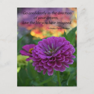 Inspiration Postkarten Bulk Discount Zinnia
