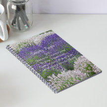 Inspiration Serenity Gebet Lavendel Garten