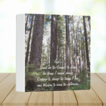 Inspiration Serenity Gebet Sunlit Forest
