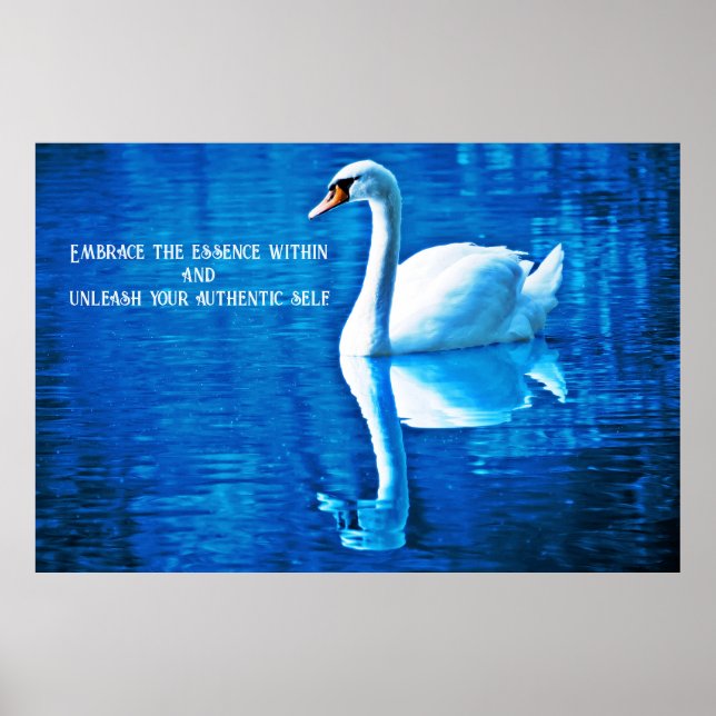Inspiration Swan Reflection Blau & Weiß Poster (Vorne)