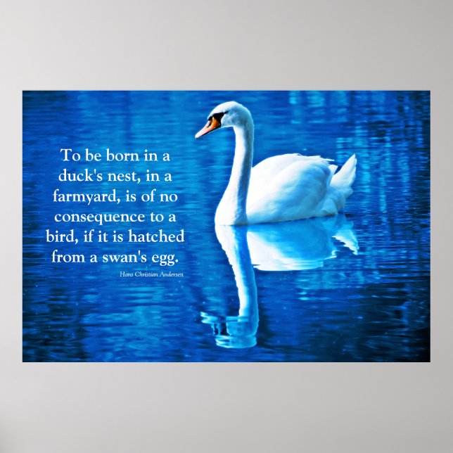 Inspiration Swan Reflection Blau & Weiß Poster (Vorne)