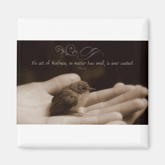 Inspiration und Kindheit von Aesop Magnet