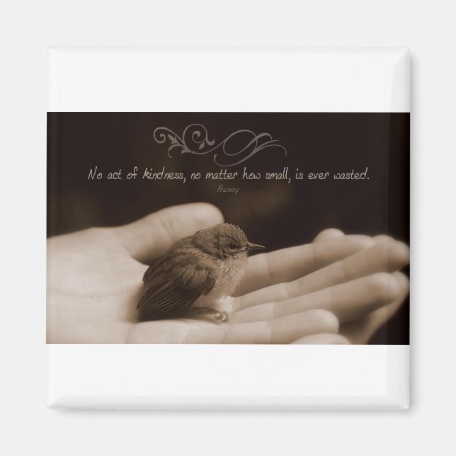 Inspiration und Kindheit von Aesop Magnet (Vorne)