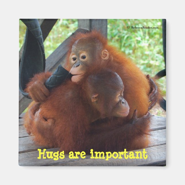 Inspiration von Babys: Hugs sind wichtig Magnet (Vorne)